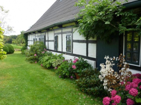 Chestnut Cottage, Rantzau
